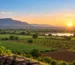 Is Agricultural Land a Good Investment in Maharashtra? A Practical Guide